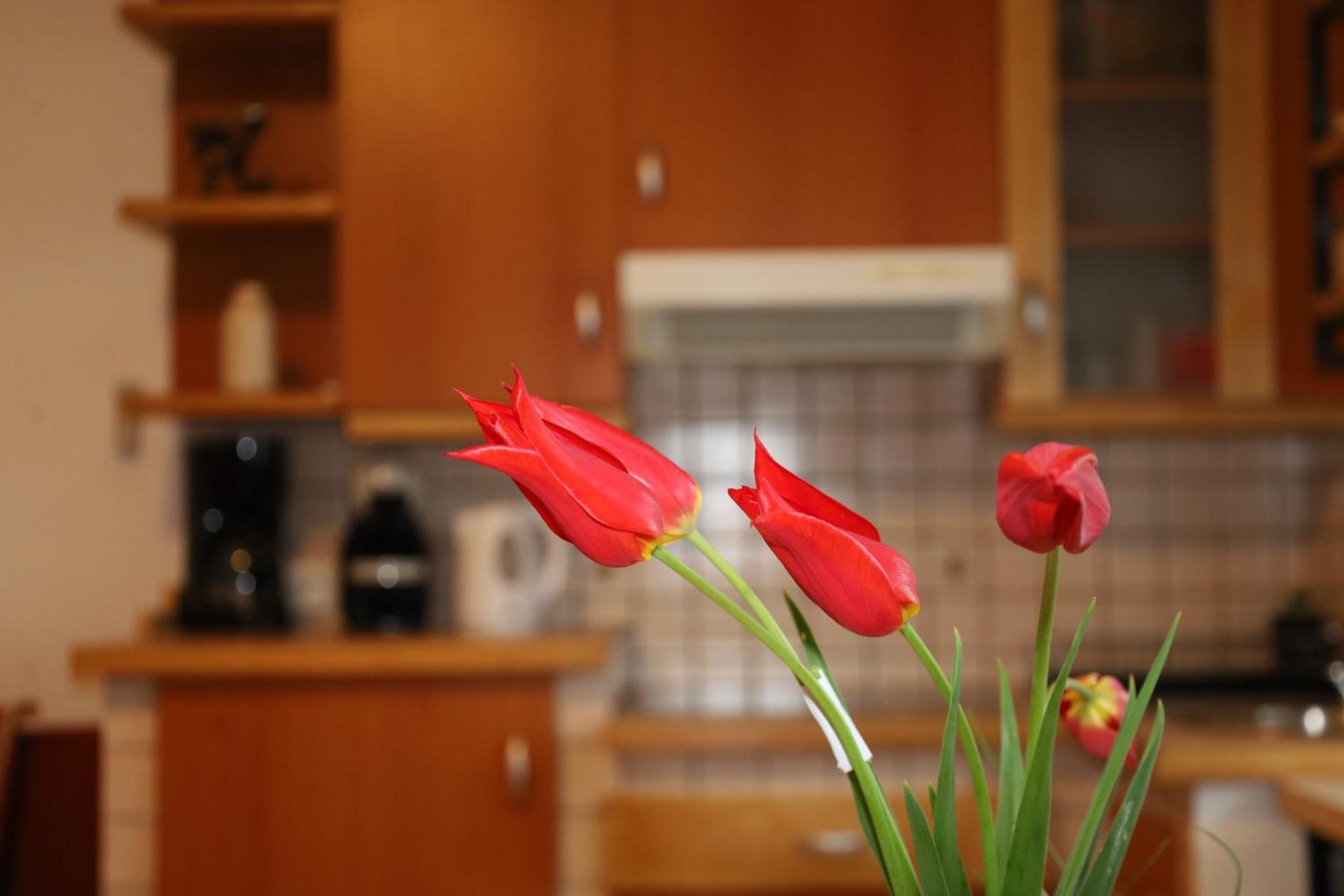 Apartment Norma Bovec Kültér fotó